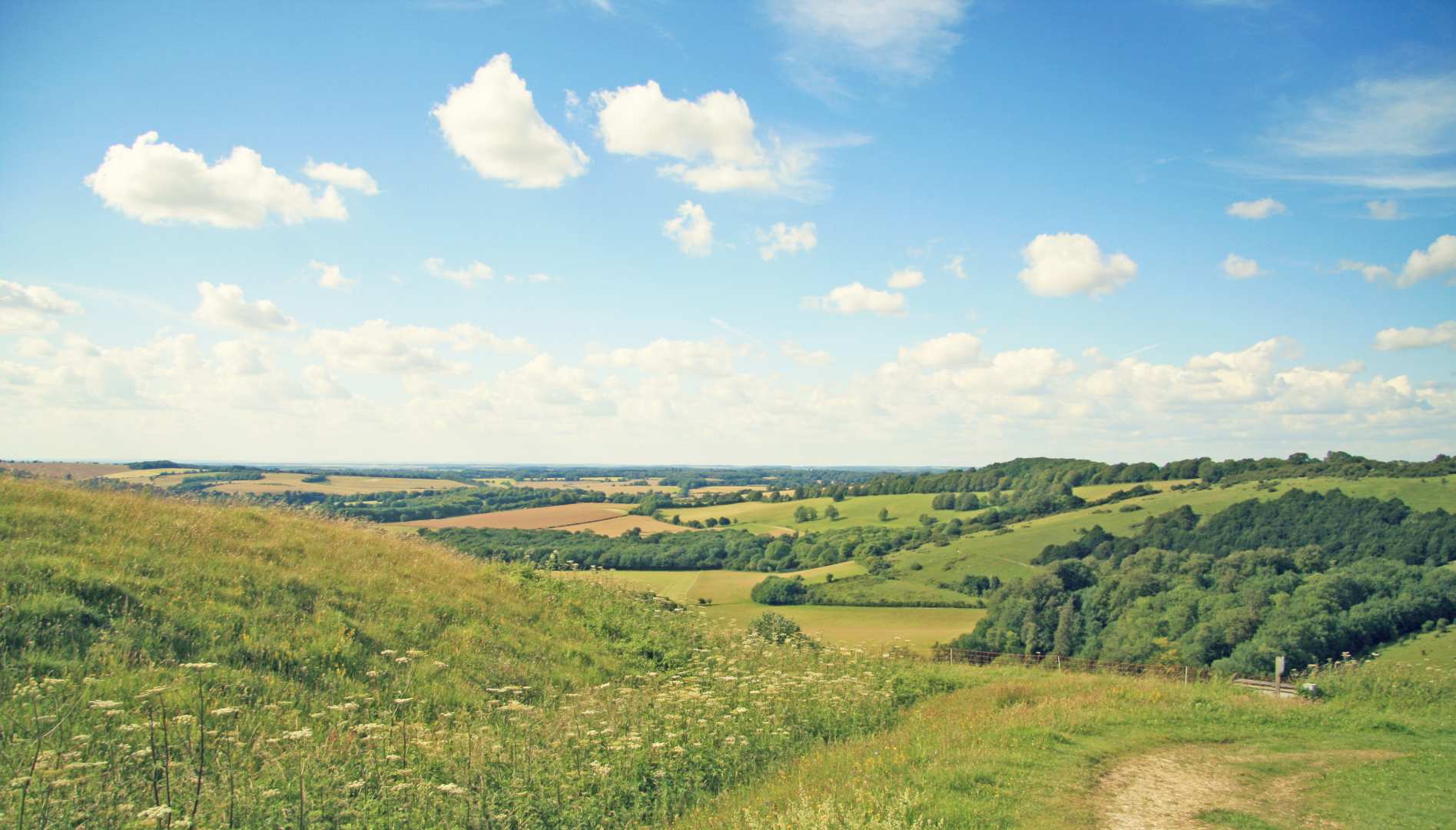 St Swithun's Way